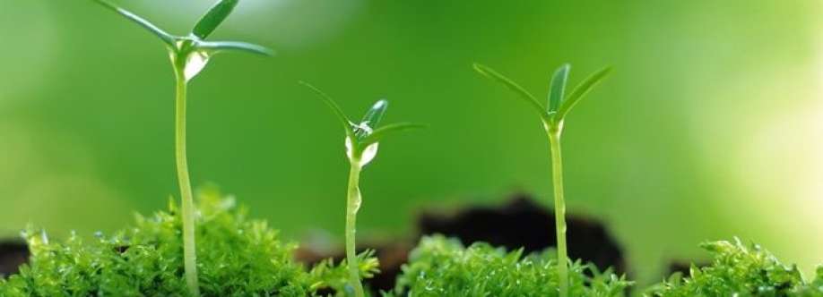 Đặng Lương Cover Image
