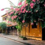 Nguyenbichvan Profile Picture